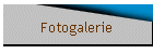 Fotogalerie